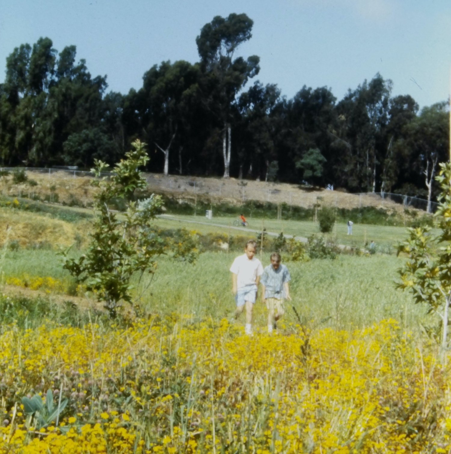 Cultural Environmental FREDERICK THOMAS HUME